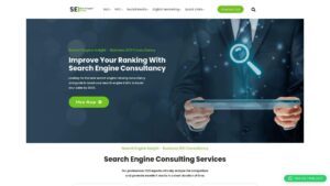 searchengineinsight.com