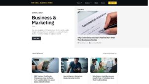 thesmallbusinesstimes.com